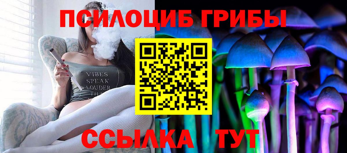 Майкоп  Галлюциногенные грибы Psilocybe  Вход с VPN  Псилоцибиновые грибы Psilocybine cubensis 